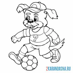 Раскраска собака футболист
