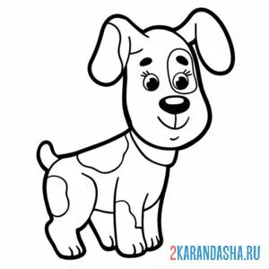 Раскраска собачка улыбается