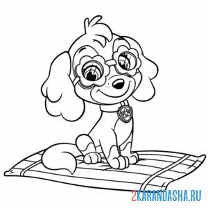 Раскраска скай сидит на коврике