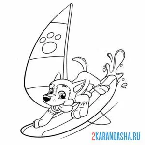 Раскраска гонщик виндсерфинг