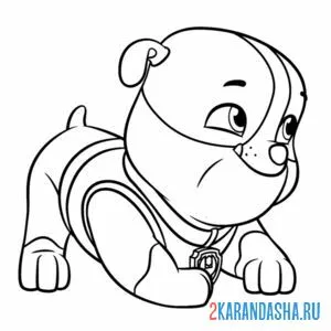 Раскраска крепыш малыш
