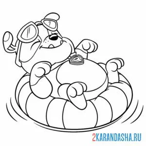 Раскраска крепыш на резиновом круге