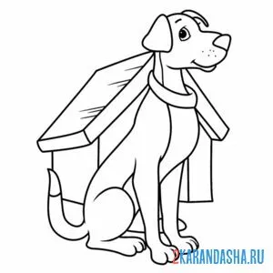 Раскраска умная собака у будки
