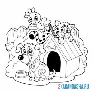 Раскраска собака, кот и попугай