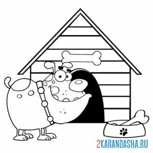 Раскраска забавный пес у будки