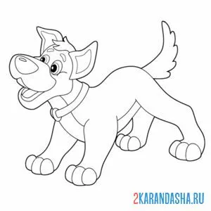 Раскраска щенок собака бежит