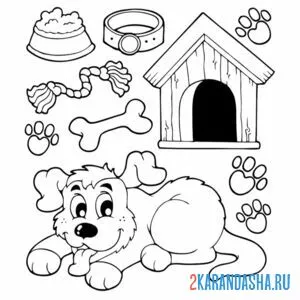 Раскраска атрибутика собаки