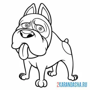 Раскраска большой пес собака