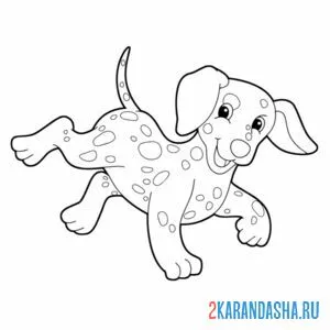 Раскраска собака далматин (далматинец)