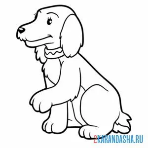Раскраска собака дает лапу