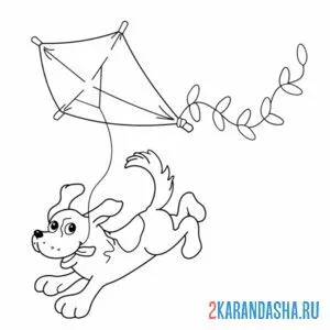 Раскраска собака с воздушным змеем