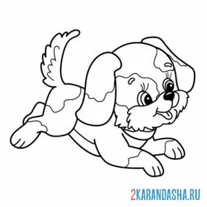 Раскраска собачка бежит