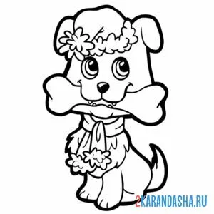 Раскраска собачка новогодняя в шапке