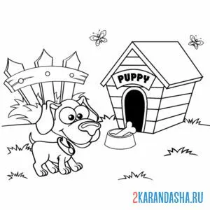 Раскраска маленькая собачка будка