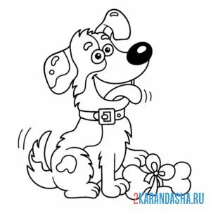 Раскраска собаке подарили косточку