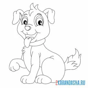 Раскраска собака дала лапу