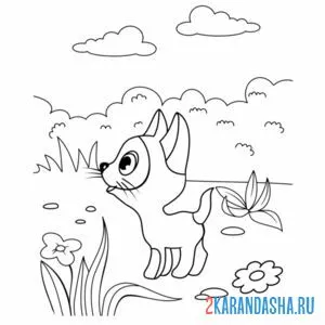 Раскраска гав котенок смотрит в небо