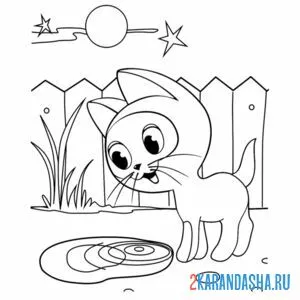 Раскраска котенок гав нашел мясо