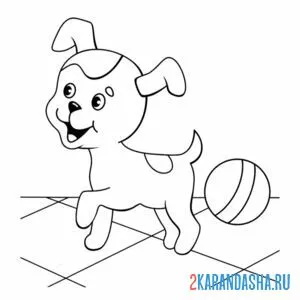 Раскраска щенок шарик дома