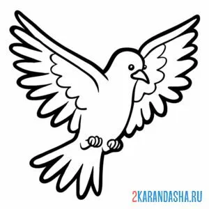 Раскраска голубь в полете