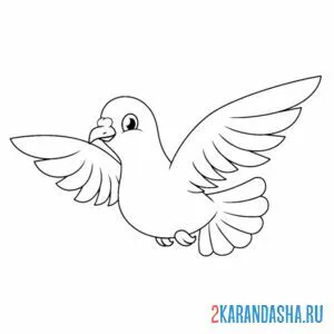 Раскраска летящий голубь