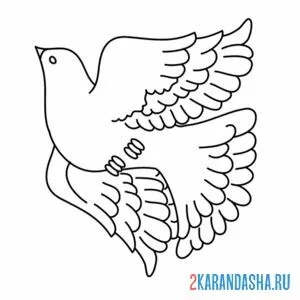 Раскраска белый голубь в полете