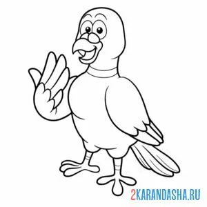 Раскраска голубь хороший