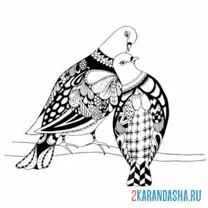 Раскраска два голубя вместе