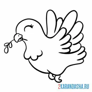 Раскраска голубка с улыбкой