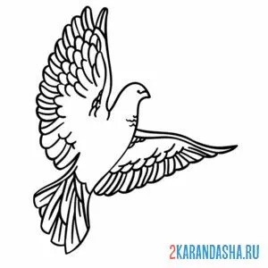 Раскраска большой голубь