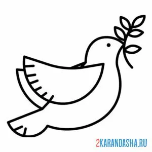Раскраска птичка-голубь