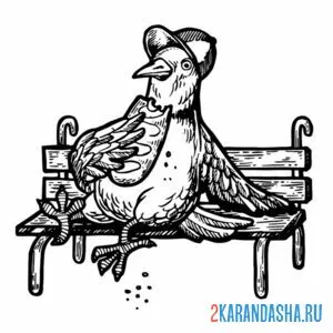 Раскраска голубь на лавке