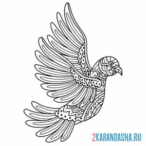 Раскраска голубь антистресс крылья