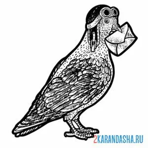 Раскраска почтальон-голубь