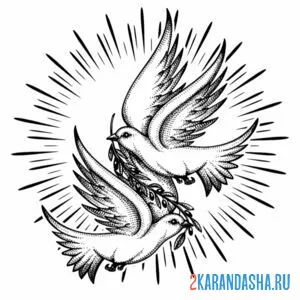 Раскраска голуби настоящие