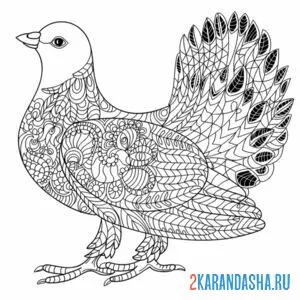 Раскраска голубка-антистресс