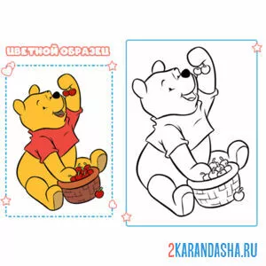 Раскраска с цветным образцом винни пух