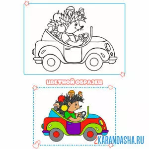 Раскраска с цветным образцом ежик
