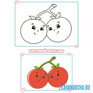 Раскраска с цветным образцом помидоры