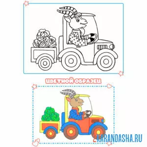 Раскраска с цветным образцом козел