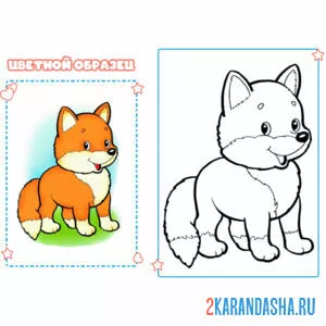 Раскраска с цветным образцом лисичка