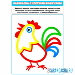 Раскраска с цветным контуром петух