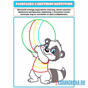 Раскраска с цветным контуром енот