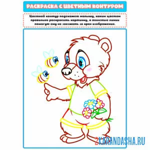 Раскраска с цветным контуром медвежнок