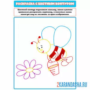 Раскраска с цветным контуром пчелка