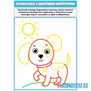 Раскраска с цветным контуром собачка