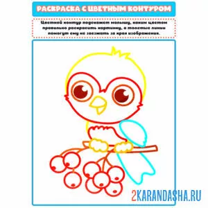 Раскраска с цветным контуром птичка