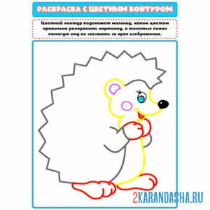 Раскраска с цветным контуром ежик