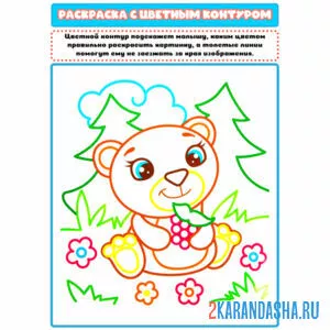 Раскраска с цветным контуром мишка в лесу