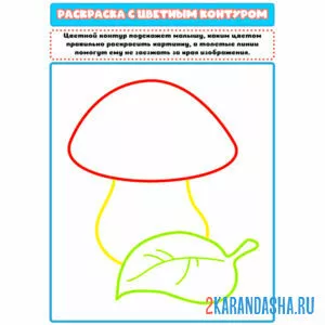 Раскраска с цветным контуром гриб и листочек